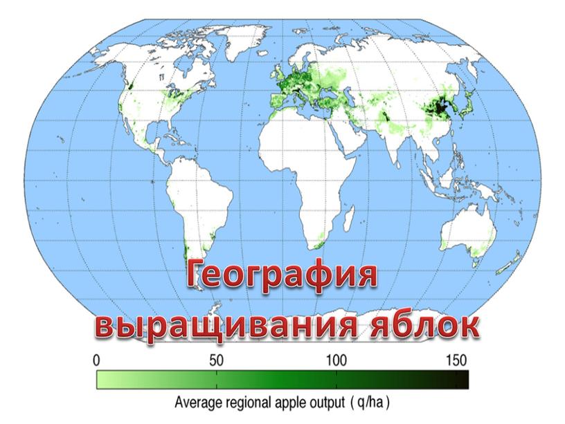 География выращивания яблок