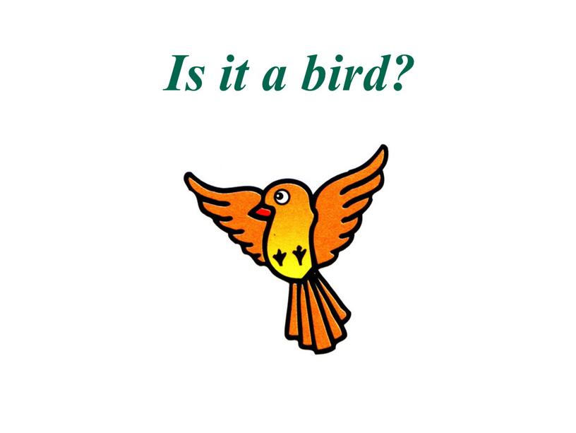 Is it a bird?