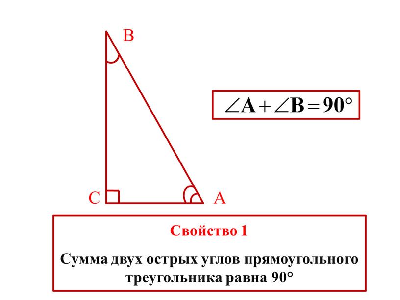 В С А Свойство 1 Сумма двух острых углов прямоугольного треугольника равна 90°