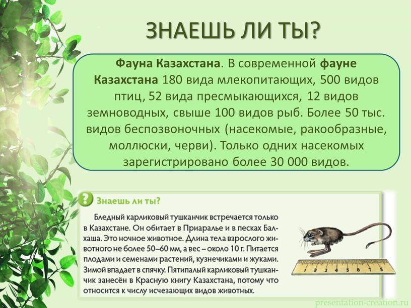 ЗНАЕШЬ ЛИ ТЫ? Фауна Казахстана