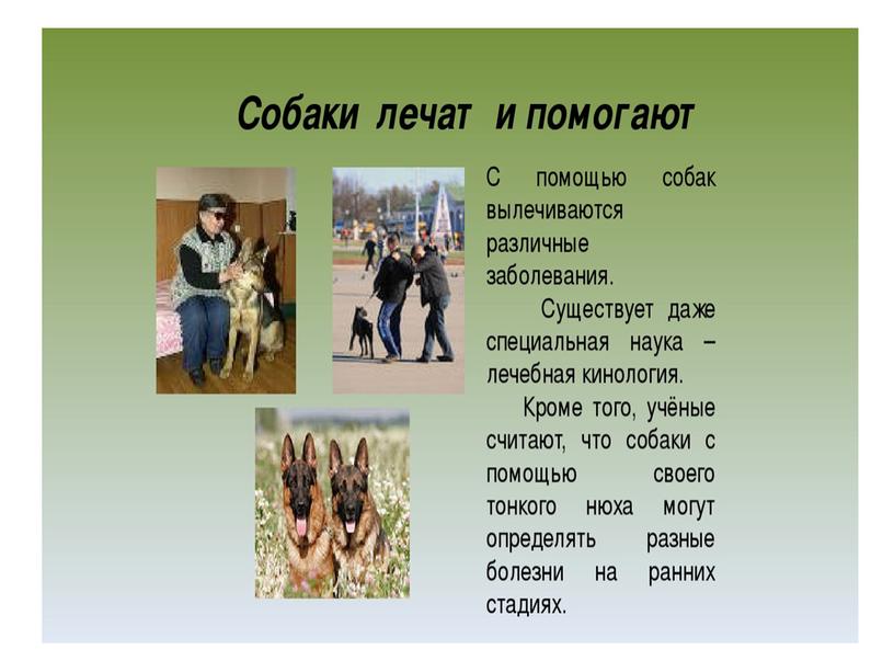 Презентация "Животные на службе безопасности жизни человека"
