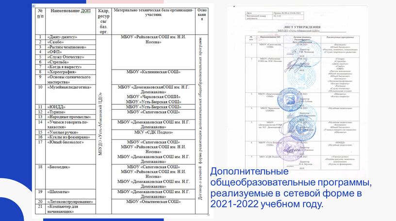 Дополнительные общеобразовательные программы, реализуемые в сетевой форме в 2021-2022 учебном году