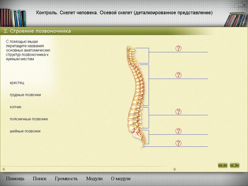 Методы развития познавательной деятельности учащихся