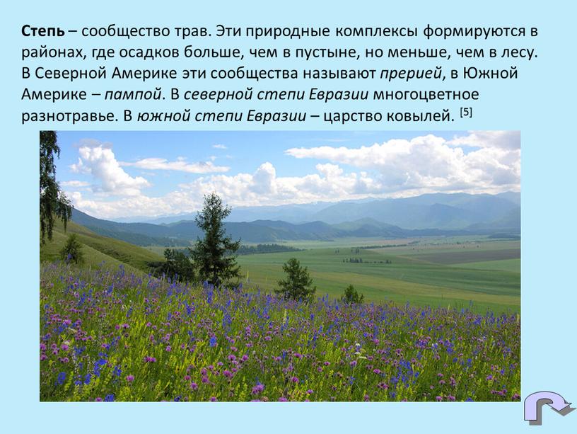 Степь – сообщество трав. Эти природные комплексы формируются в районах, где осадков больше, чем в пустыне, но меньше, чем в лесу