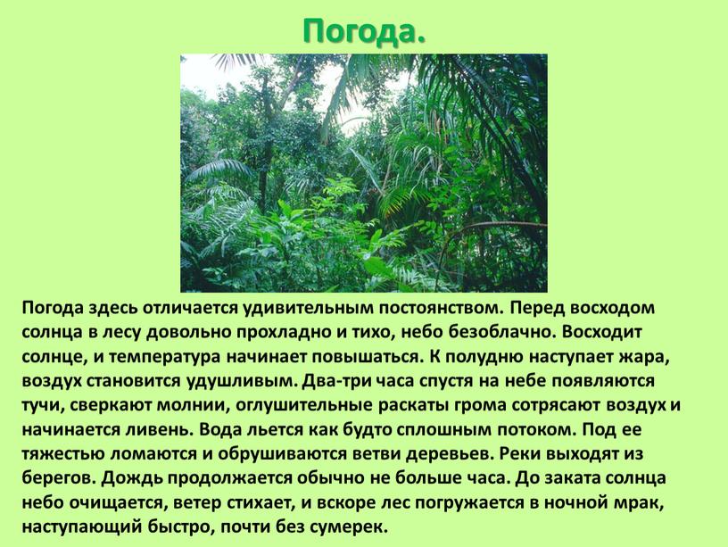 Погода. Погода здесь отличается удивительным постоянством