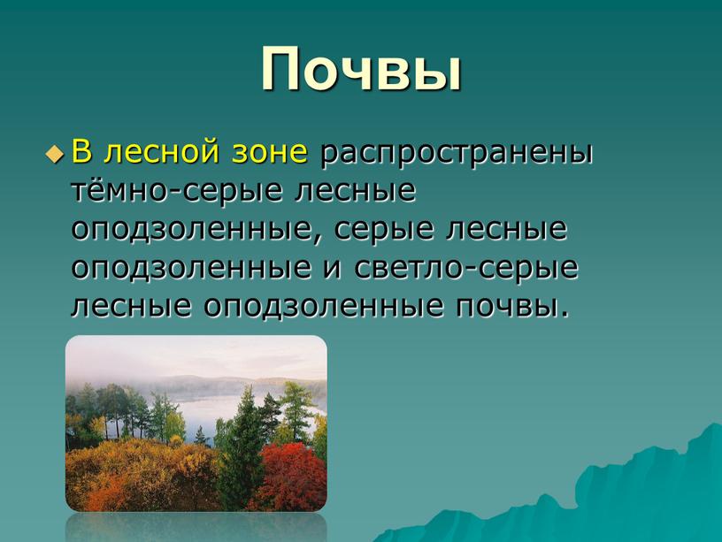 Почвы В лесной зоне распространены тёмно-серые лесные оподзоленные, серые лесные оподзоленные и светло-серые лесные оподзоленные почвы