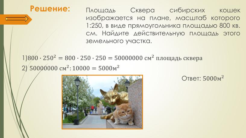 Решение: Площадь Сквера сибирских кошек изображается на плане, масштаб которого 1:250, в виде прямоугольника площадью 800 кв