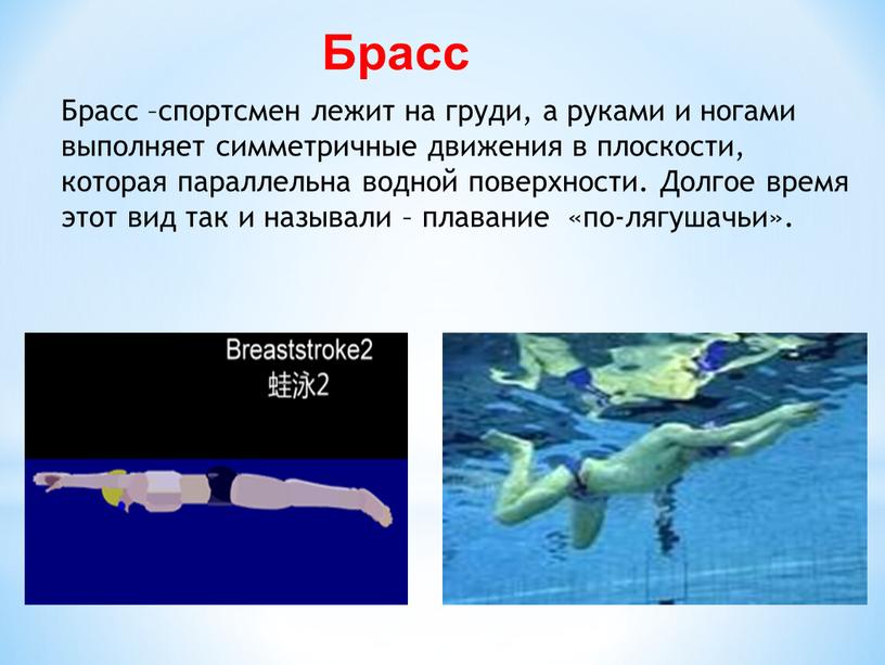 Брасс Брасс –спортсмен лежит на груди, а руками и ногами выполняет симметричные движения в плоскости, которая параллельна водной поверхности