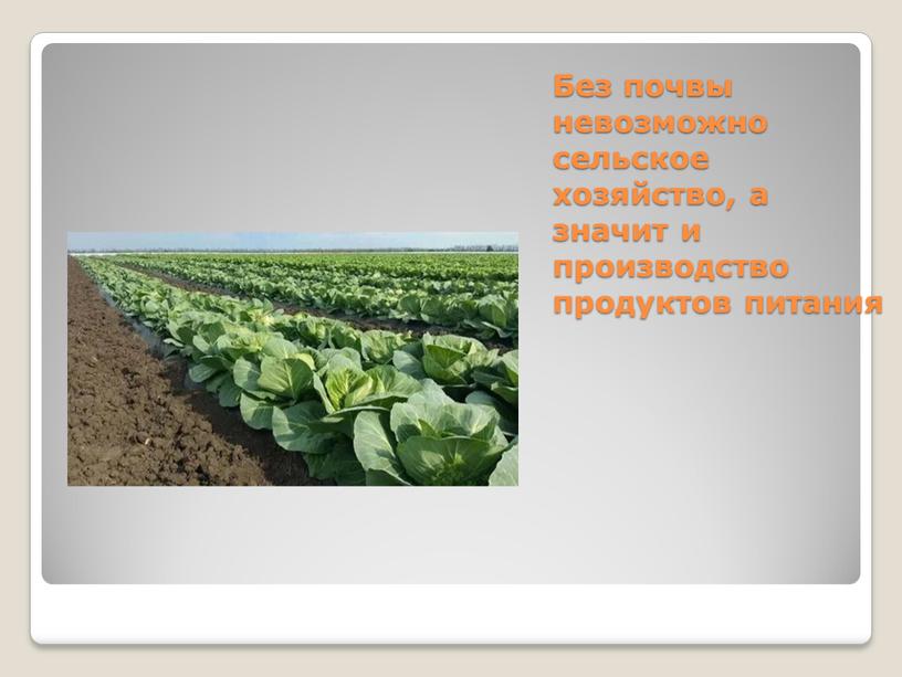 Без почвы невозможно сельское хозяйство, а значит и производство продуктов питания