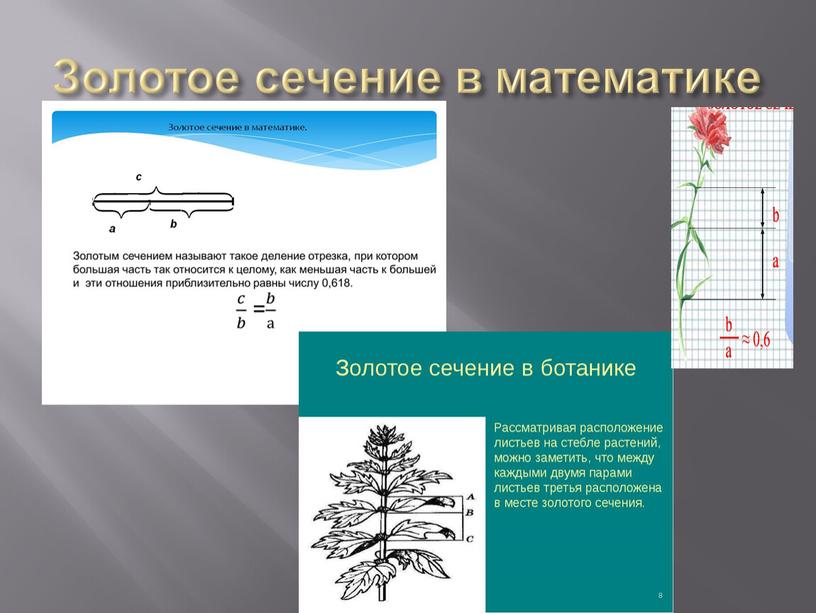 Золотое сечение в математике