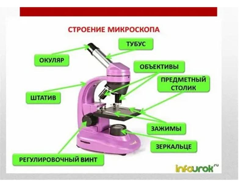 Презентация  "Увеличительные приборы".