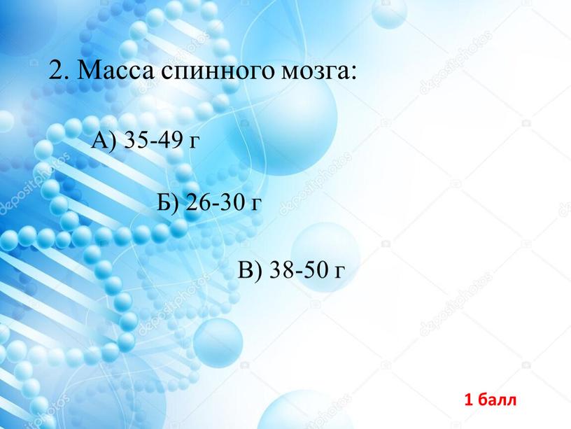 Масса спинного мозга: В) 38-50 г