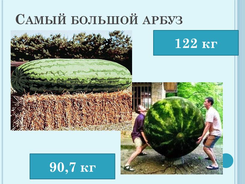 Самый большой арбуз 122 кг 90,7 кг