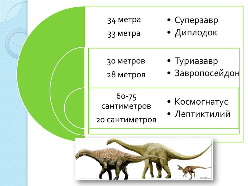 Исследование совместно с родителями.  Исследовательская работа на тему:  «Потерянный мир динозавров»