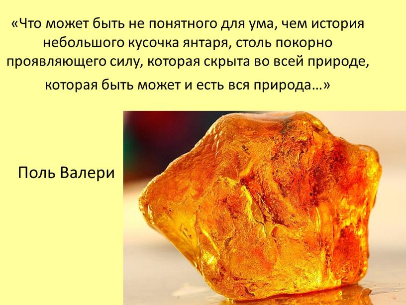 Что может быть не понятного для ума, чем история небольшого кусочка янтаря, столь покорно проявляющего силу, которая скрыта во всей природе, которая быть может и…