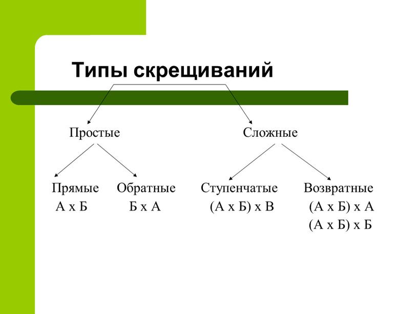 Типы скрещиваний Простые