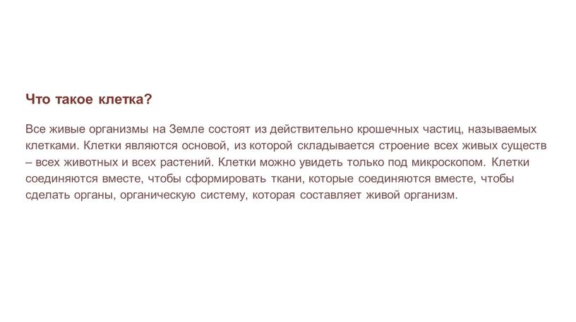 Что такое клетка? Все живые организмы на