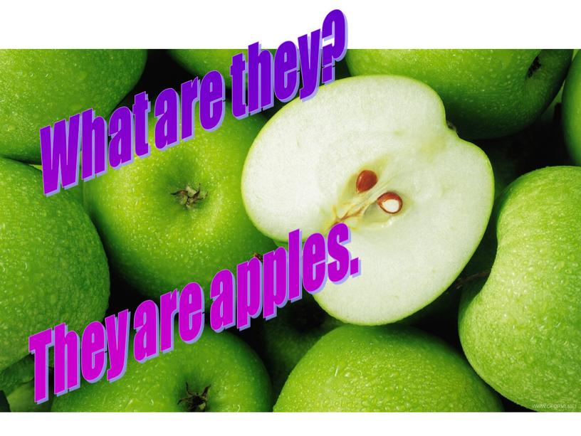 What are they? They are apples