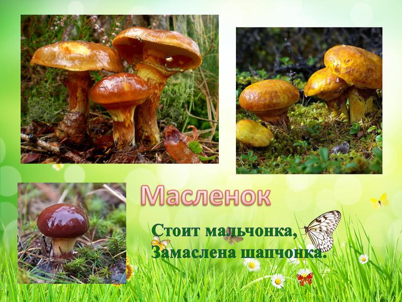 Масленок Стоит мальчонка, Замаслена шапчонка