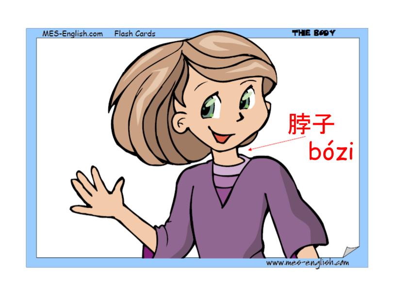 脖子 bózi