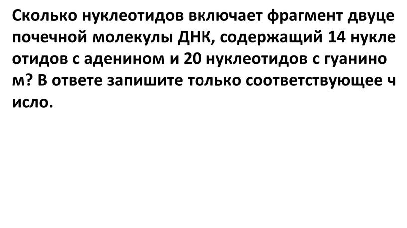 Сколько нуклеотидов включает фрагмент двуцепочечной молекулы