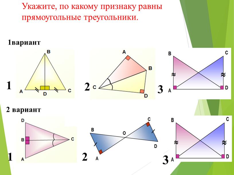 Укажите, по какому признаку равны прямоугольные треугольники