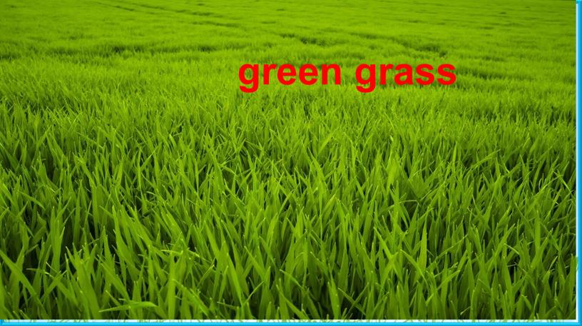 Green grass Пасечник Е.А. green grass