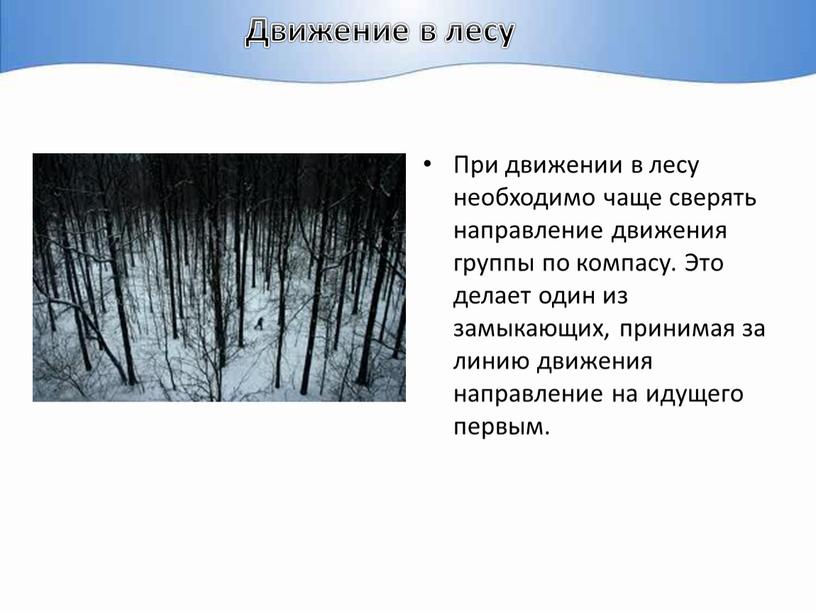 Движение в лесу При движении в лесу необходимо чаще сверять направление движения группы по компасу