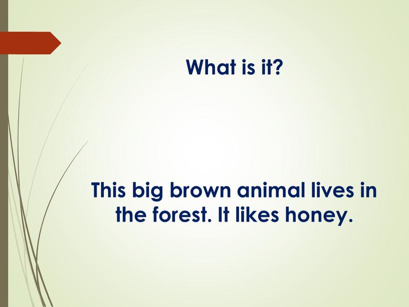 What is it? This big brown animal lives in the forest