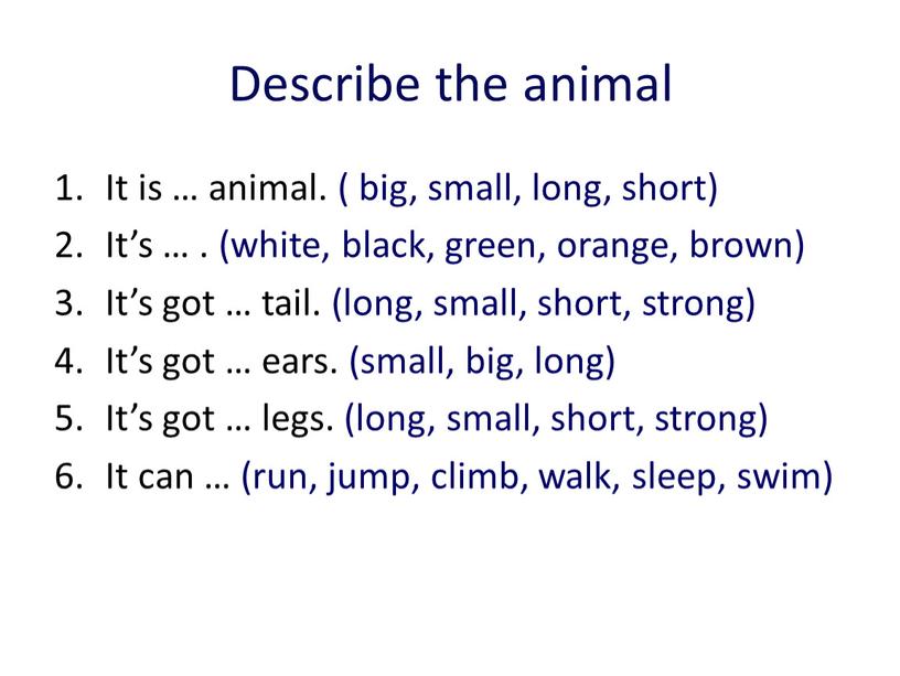 Describe the animal It is … animal