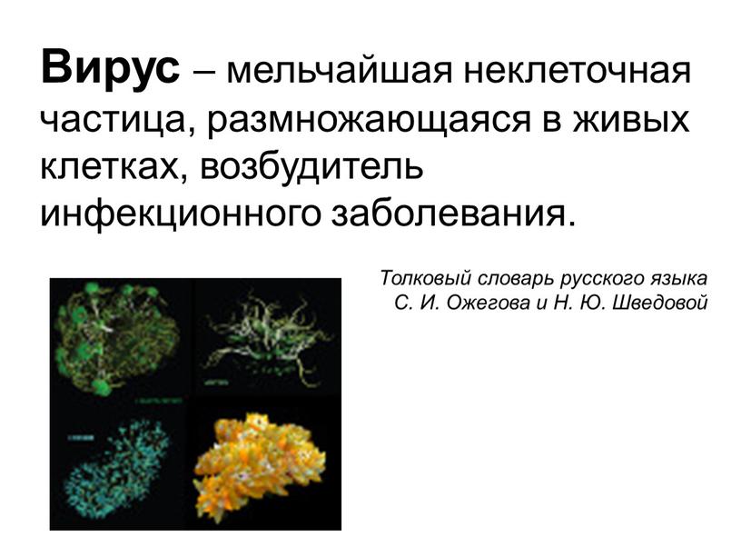 Вирус – мельчайшая неклеточная частица, размножающаяся в живых клетках, возбудитель инфекционного заболевания