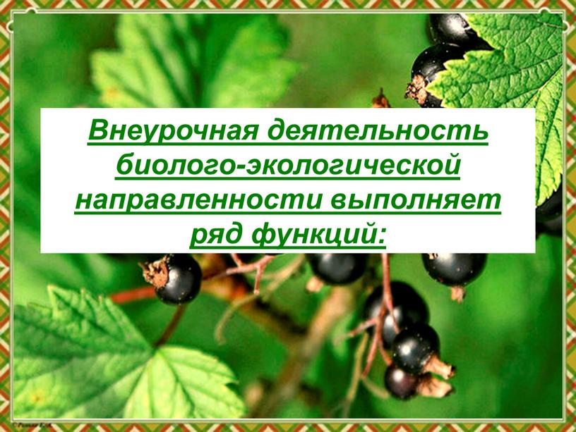 Внеурочная деятельность биолого-экологической направленности выполняет ряд функций: