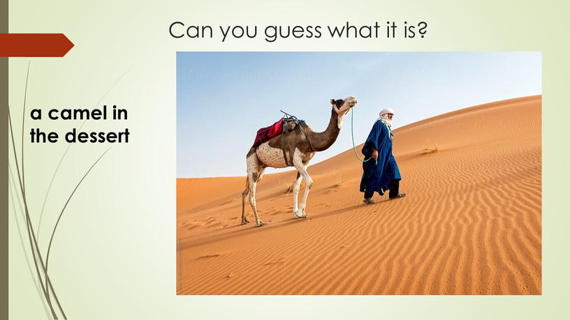 Can you guess what it is? a camel in the dessert