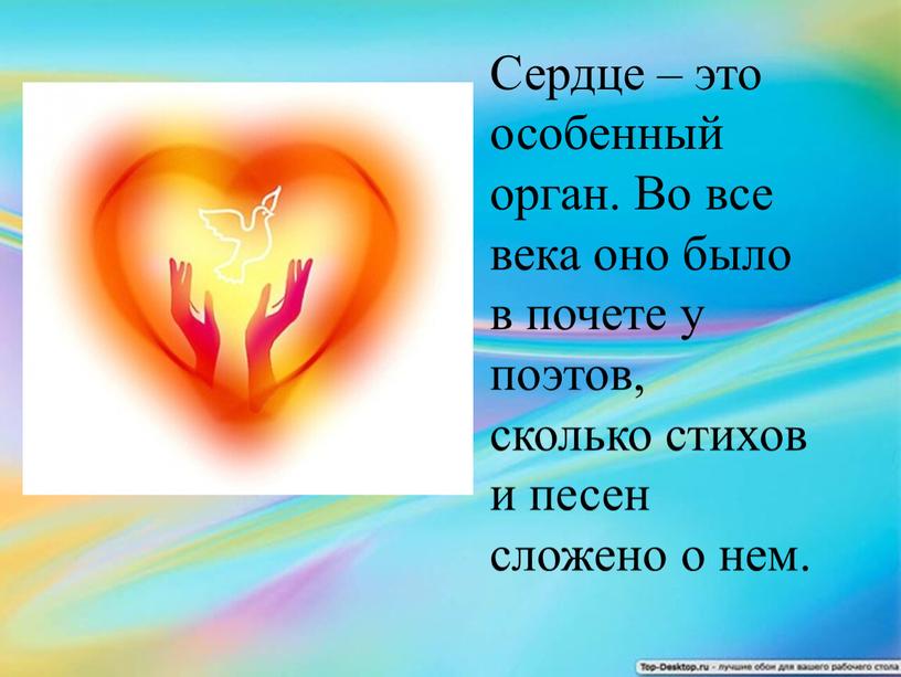 Сердце – это особенный орган. Во все века оно было в почете у поэтов, сколько стихов и песен сложено о нем