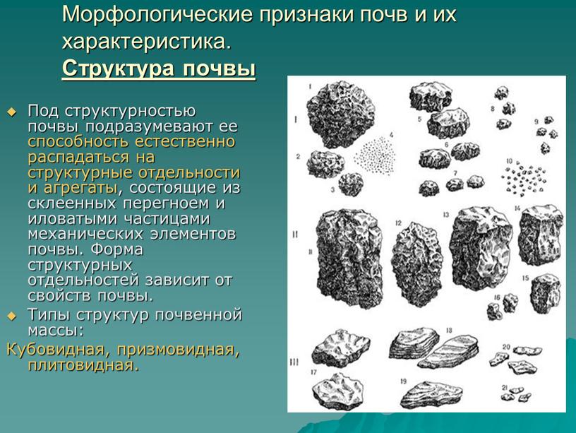 Морфологические признаки почв и их характеристика