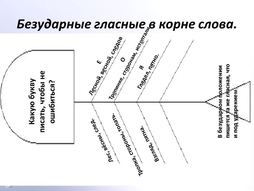 Безударные гласные в корне слова