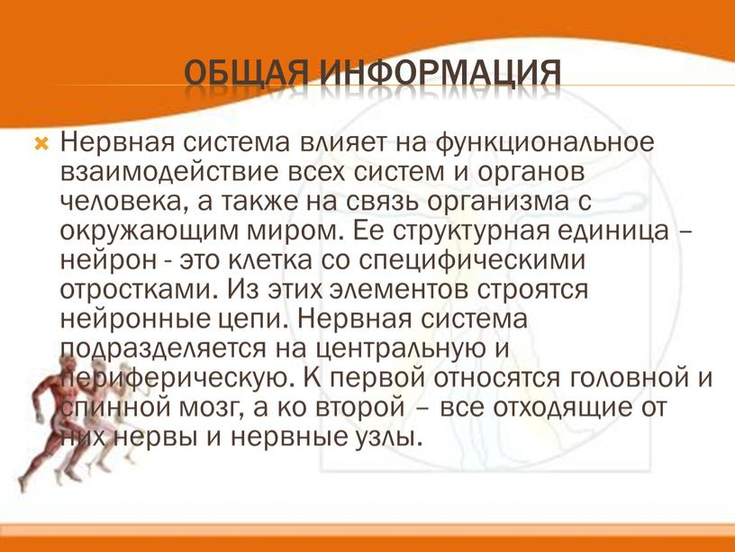 Общая информация Нервная система влияет на функциональное взаимодействие всех систем и органов человека, а также на связь организма с окружающим миром