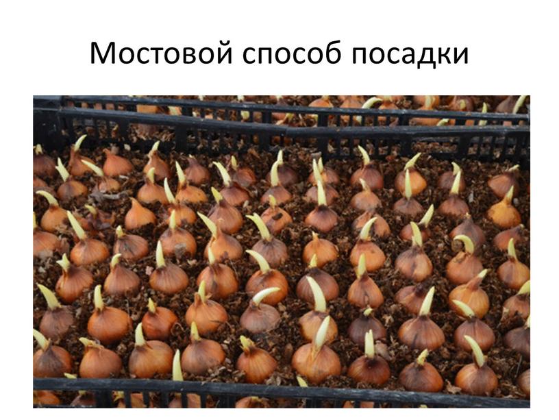 Мостовой способ посадки