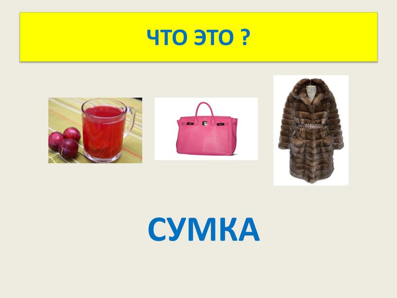 ЧТО ЭТО ? СУМКА