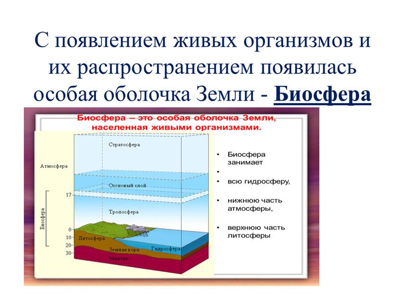 С появлением живых организмов и их распространением появилась особая оболочка