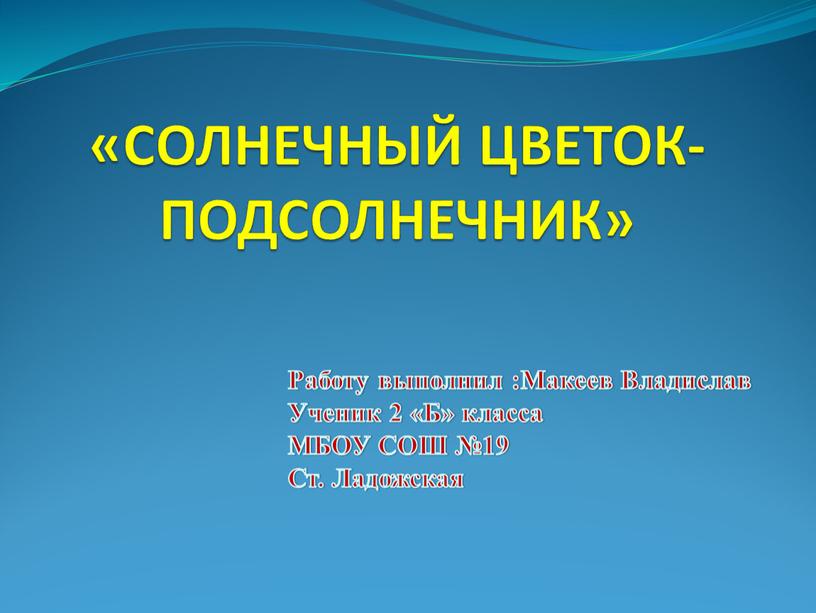 СОЛНЕЧНЫЙ ЦВЕТОК-ПОДСОЛНЕЧНИК»