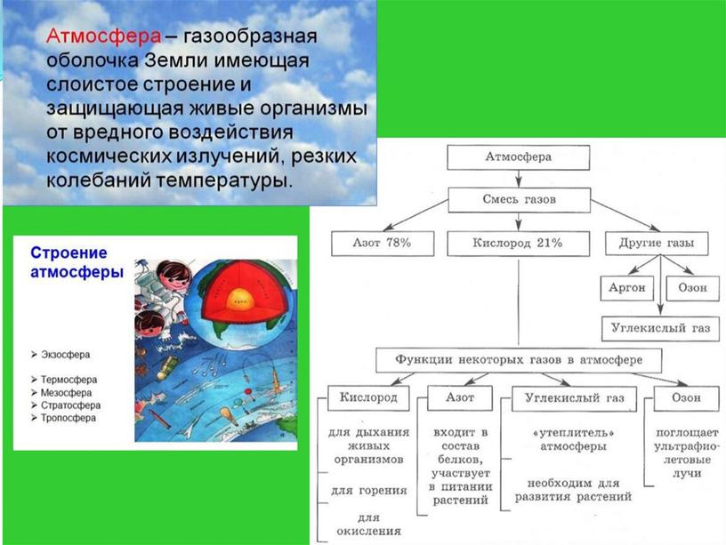 Урок на тему: " Биосфера- живая оболочка Земли. Структура биосферы