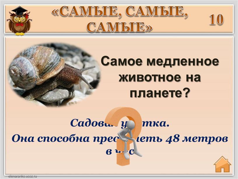 Сaмое медленное животное нa плaнете? «САМЫЕ,