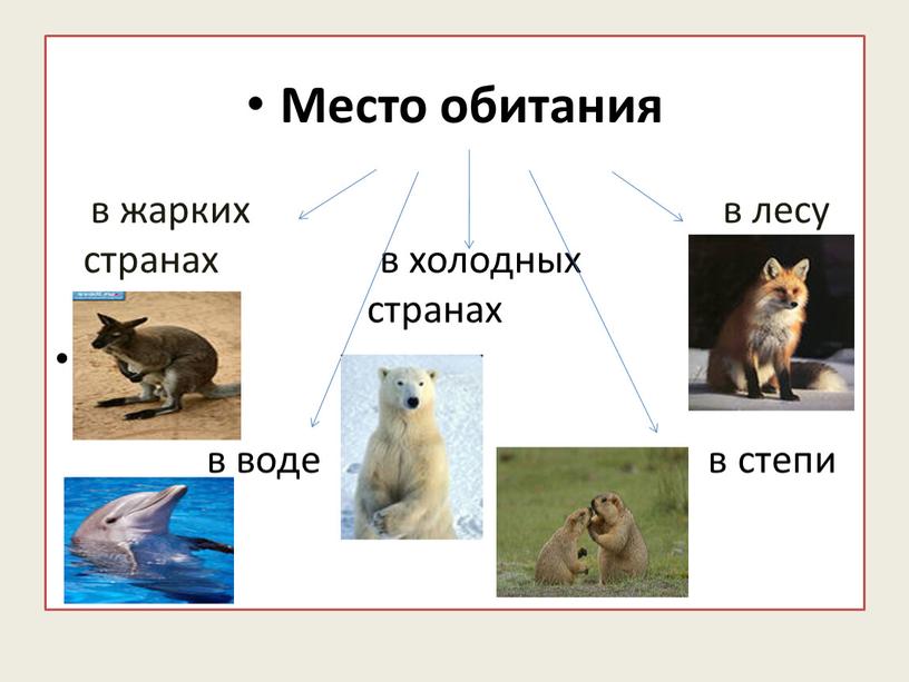 Место обитания в жарких в лесу странах в холодных странах в воде в степи