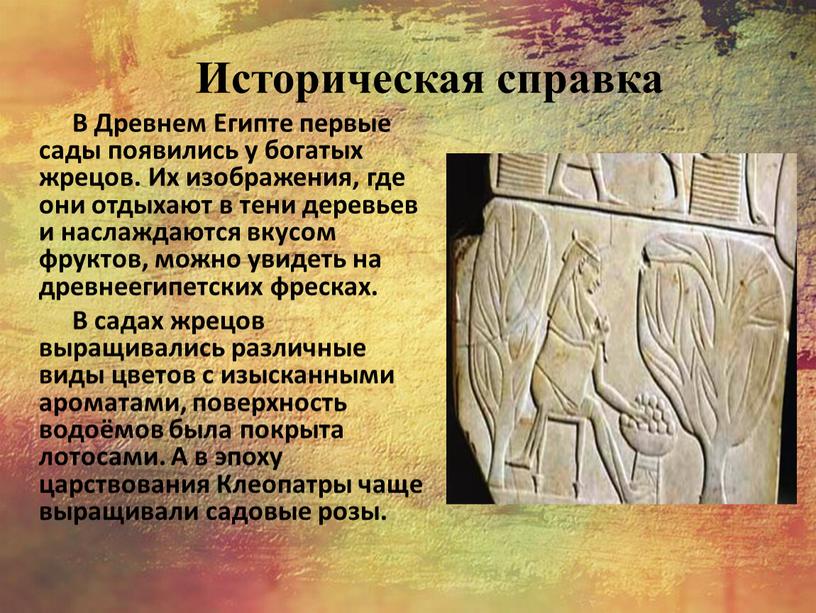 Историческая справка