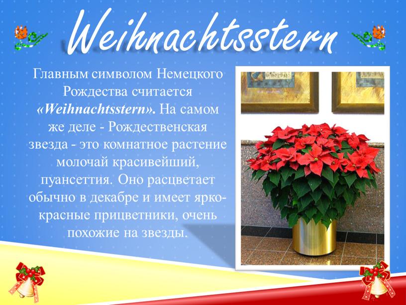 Главным символом Немецкого Рождества считается «Weihnachtsstern»