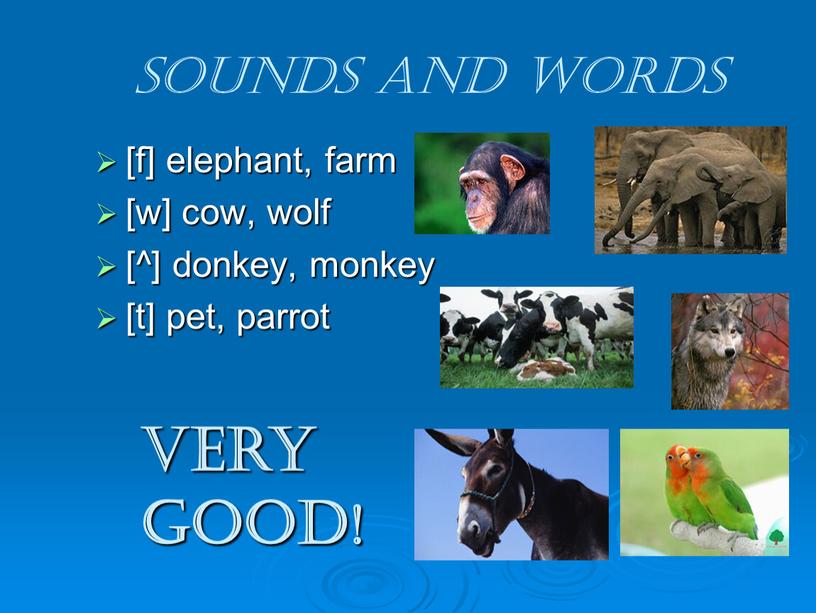 Sounds and words [f] elephant, farm [w] cow, wolf [^] donkey, monkey [t] pet, parrot