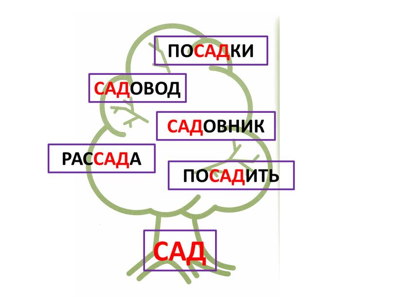 САД ПОСАДИТЬ РАССАДА САДОВНИК САДОВОД