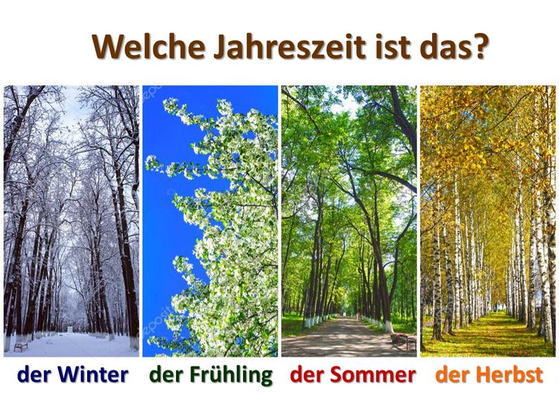 Frühling der Sommer der Herbst der