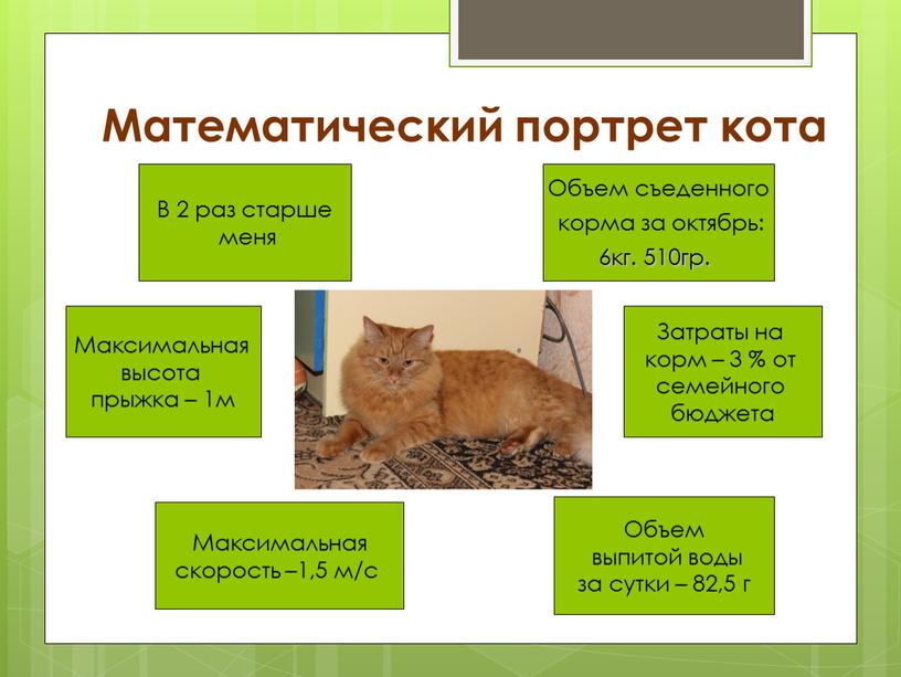 Математический портрет кота Объем выпитой воды за сутки – 82,5 г